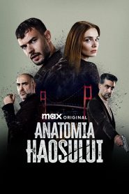 Anatomia haosului 2025
